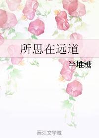所思在远道