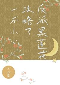 一不小心攻略了反派黑莲花