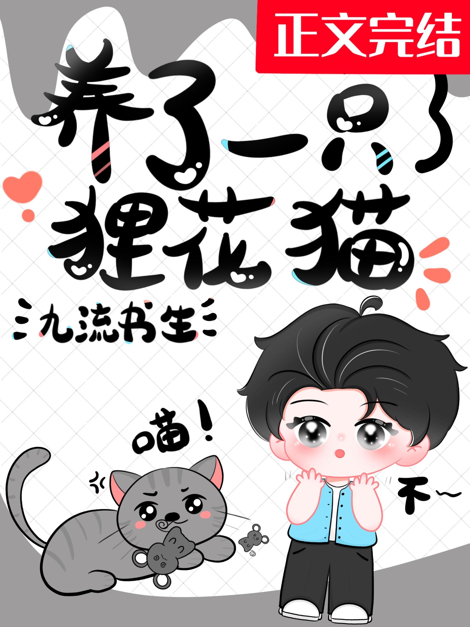 养了一只貍花猫
