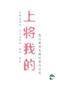 上将,我的!