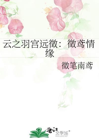 云之羽宫远征:征鸢情缘