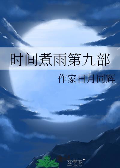 时间煮雨第九部