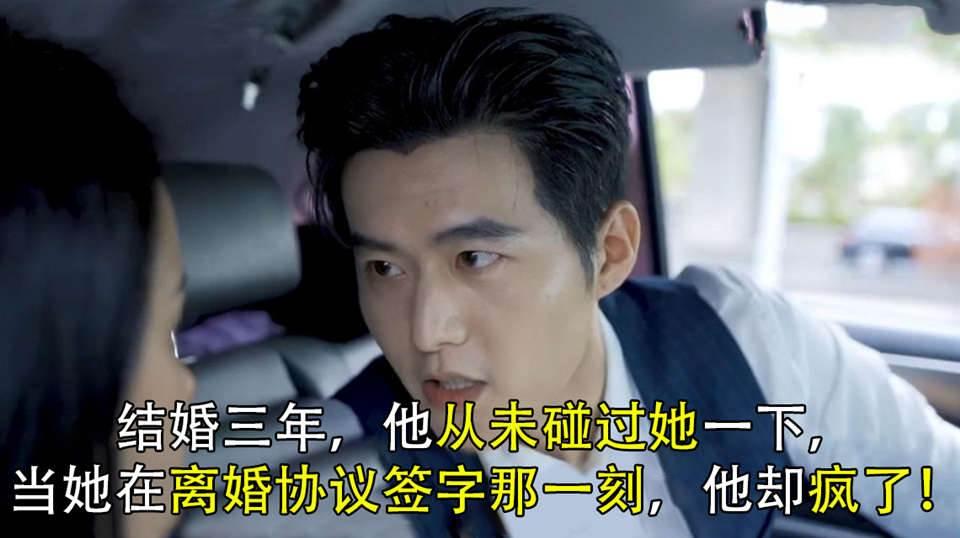 傅总，夫人又闹离婚了