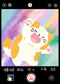 猫猫腿短怎么啦