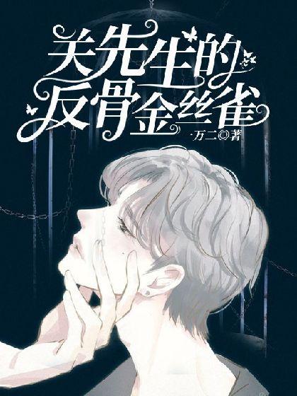 关先生的反骨金丝雀