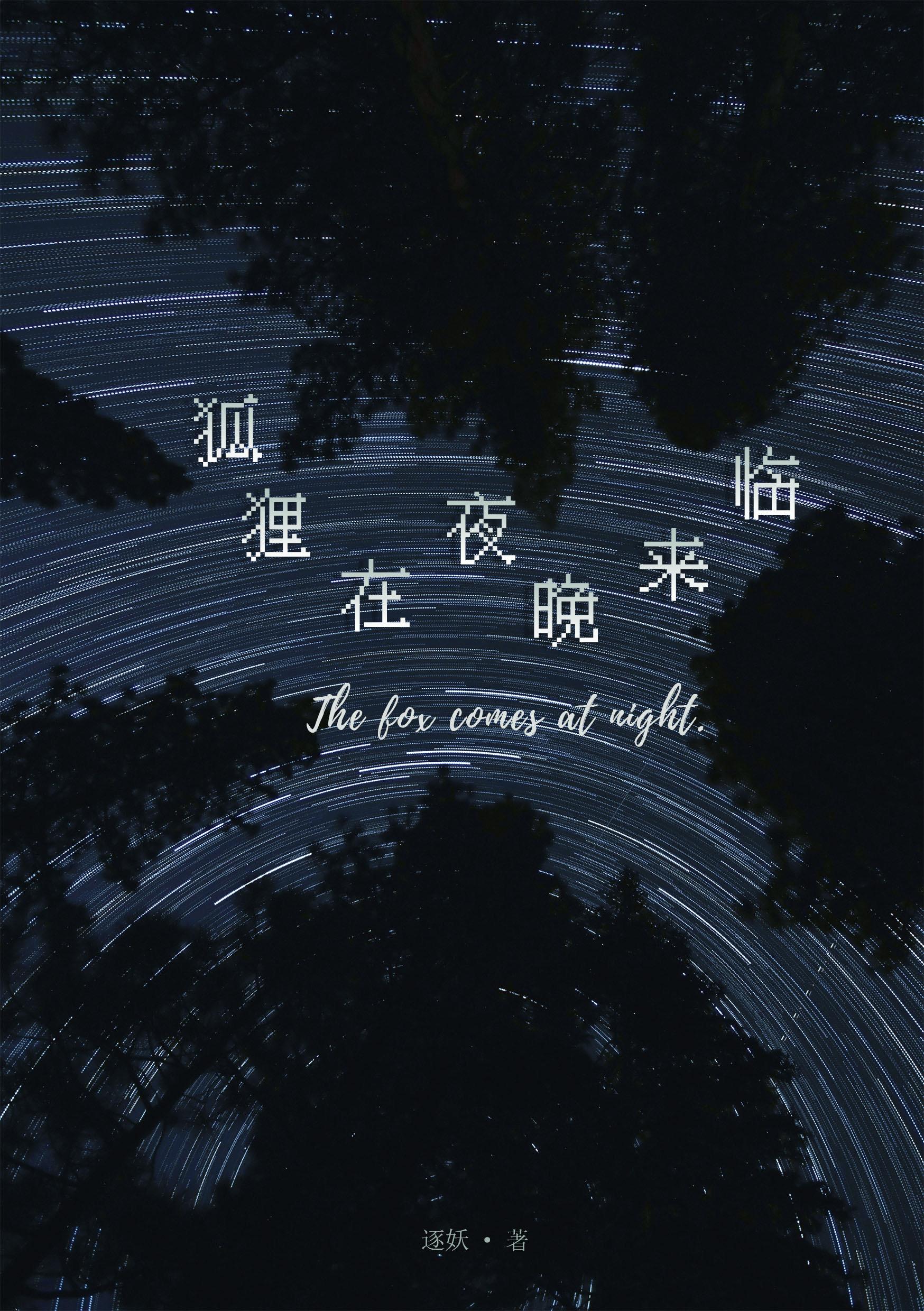 狐貍在夜晚来临