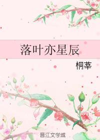 落叶亦星辰