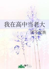 我在高中当老大