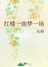 红楼一曲梦一场