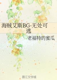海贼艾斯BG-无处可逃
