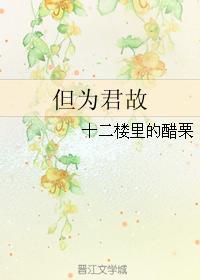 但为君故