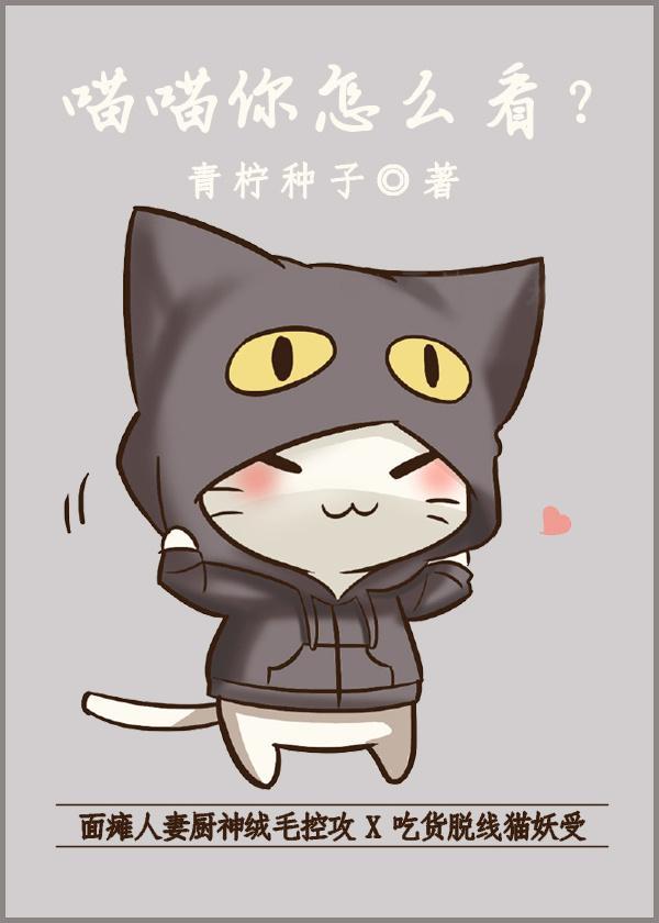 喵喵你怎么看