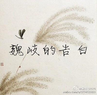 魏岐的告白