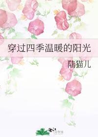穿过四季温暖的阳光