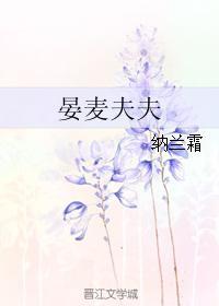 晏麦夫夫