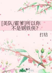 [美队霍爹]所以你不是钢铁侠？