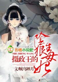 摄政王的阴狠毒妃