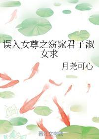 误入女尊之窈窕君子淑女求