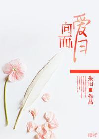 向爱而归