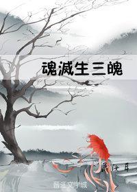 末泪魄