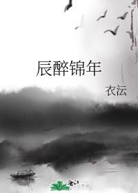 辰醉锦年