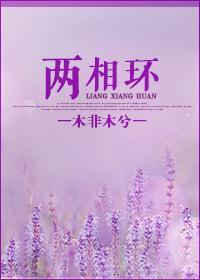 心锁——两相环
