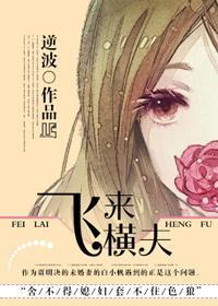 飞来横夫