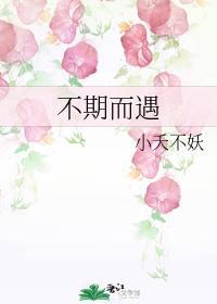 不期而遇