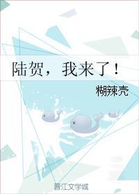 陆贺，我来了！