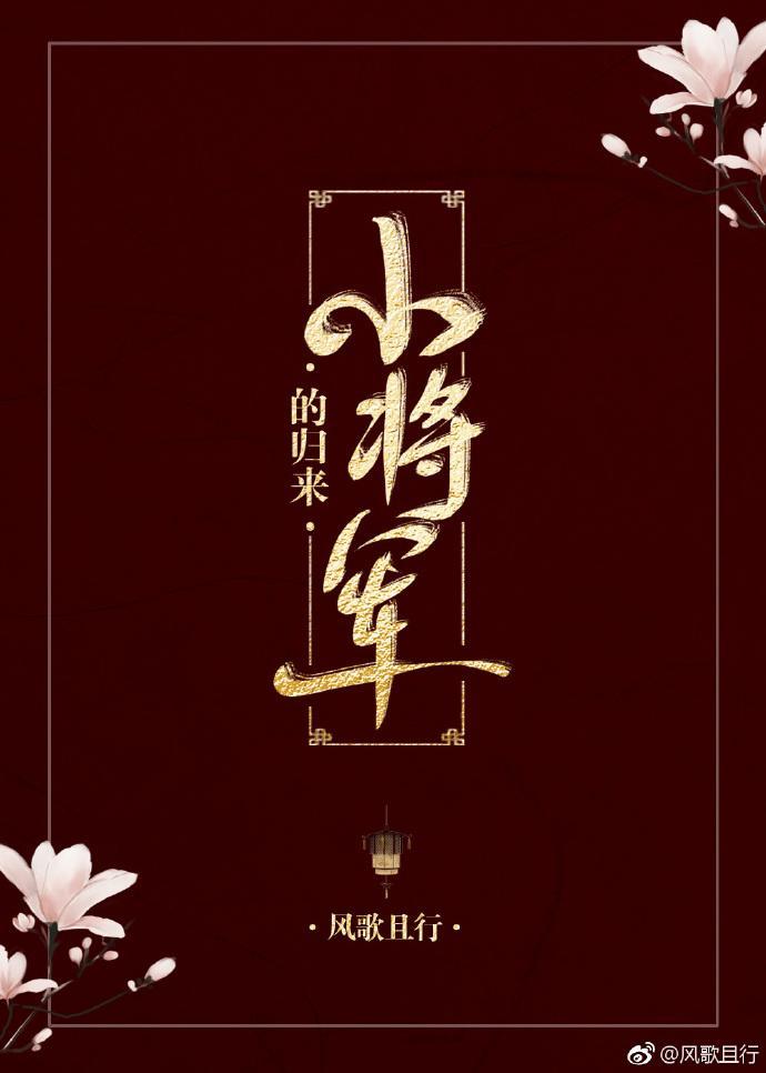 小将军回来了