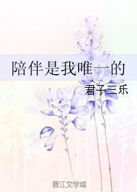 陪伴是我唯一的