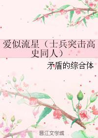 爱似流星