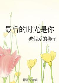 最后的时光是你