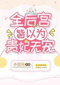 全后宫皆以为贵妃无宠