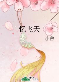 忆飞天