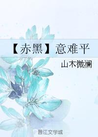 【赤黑】意难平