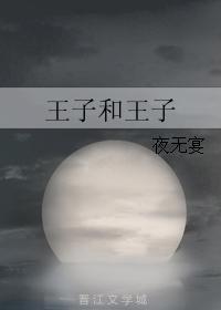 王子和王子