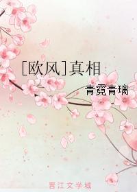 [欧风]真相