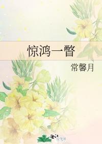 惊鸿一瞥