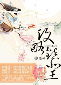 攻略镇北王