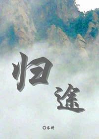 归途