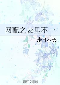 网配之表裏不一