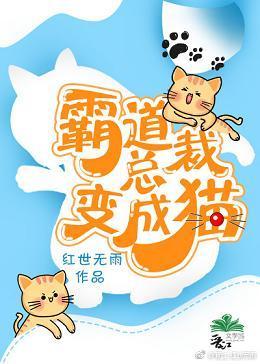 霸道总裁变成猫
