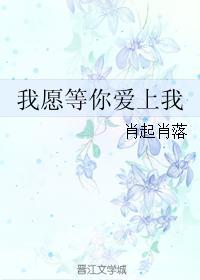 我愿等你爱上我