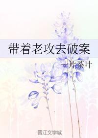 带着老攻去破案