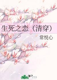 生死之恋（清穿）