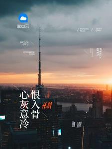 夏忆沈墨寒