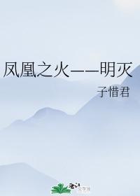凤凰之火——明灭