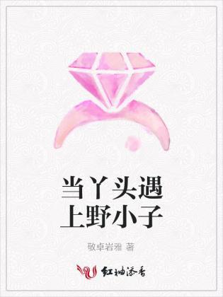 当丫头遇上野小子