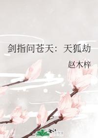 剑指问苍天：天狐劫